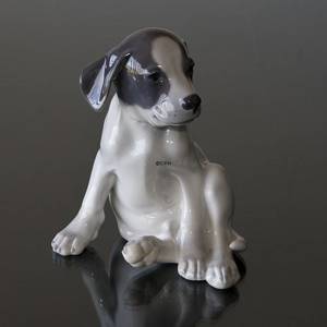 Terrier sitzt und sieht lustig aus, Royal Copenhagen Hundefigur Nr. 259 | Nr. 1020051 | Alt. R259 | DPH Trading