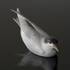 Seeschwalbe, Royal Copenhagen Vogelfigur Nr. 827 | Nr. 1020076 | Alt. R827 | DPH Trading