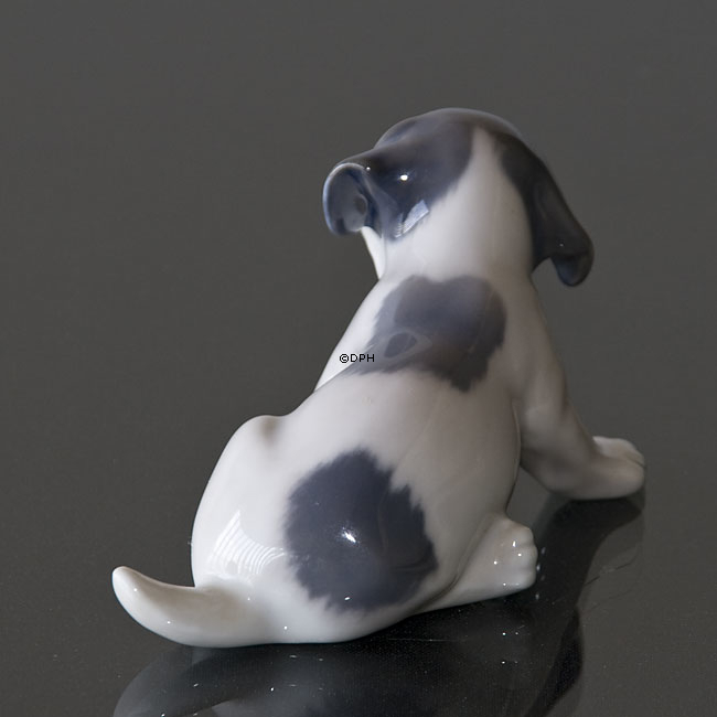 Pointer Welpe, Royal Copenhagen Figur Nr. 1311 oder 096