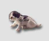 Pointer Welpe, Royal Copenhagen Figur Nr. 1311 oder 096