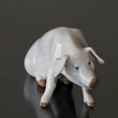 Schwein, Royal Copenhagen Figur Nr. 1400