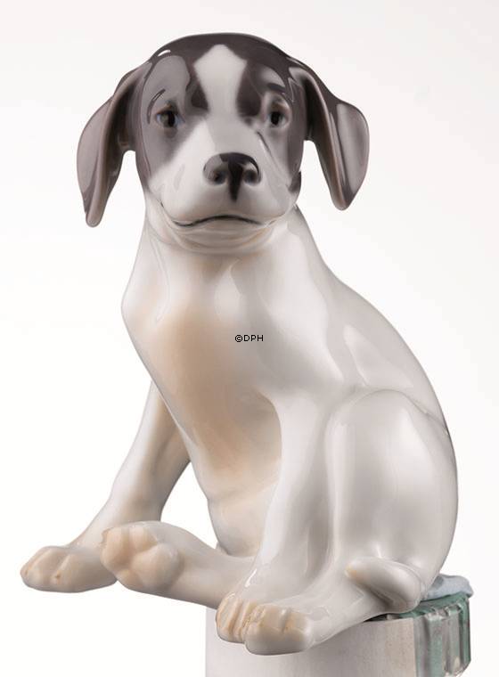 Pointer Welpe, Royal Copenhagen Hund Figur Nr. 106