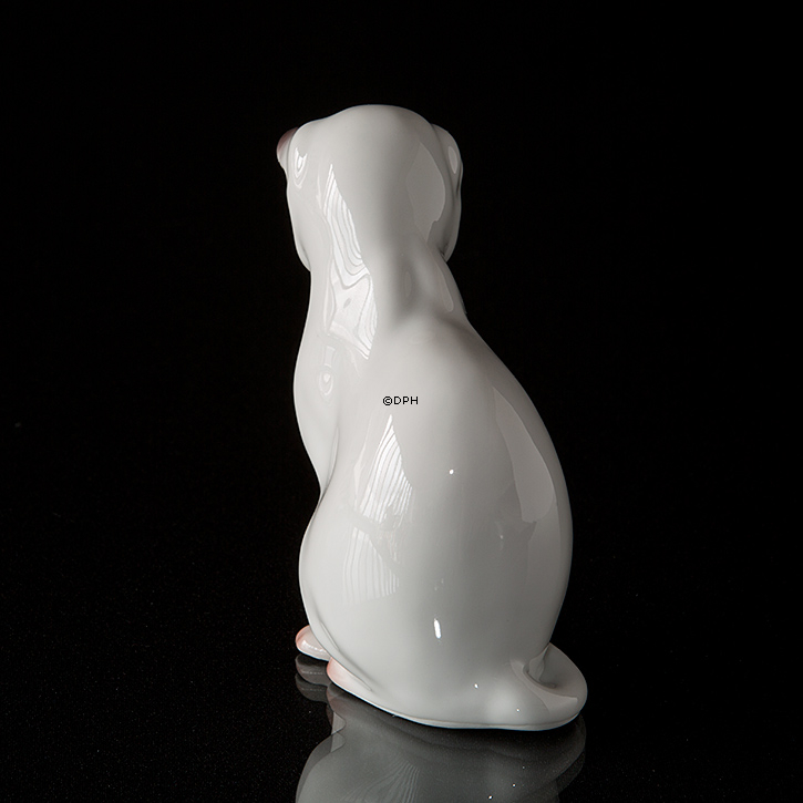 Weiße Katze schaut nach unten, Bing & Gröndahl Figur Nr. 2453 oder 499