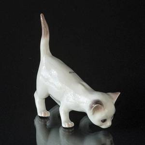 Weißes Kätzchen, Schwanz oben, Bing & Gröndahl Katze Figur Nr. 2507 | Nr. 1020507 | Alt. B2507 | DPH Trading