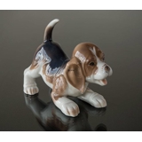Beagle, Bing & Gröndahl Hundefigur Nr. 2564 oder 564