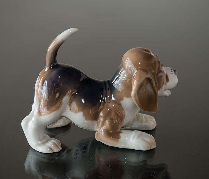 Beagle, Bing & Gröndahl Hundefigur Nr. 2564 oder 564