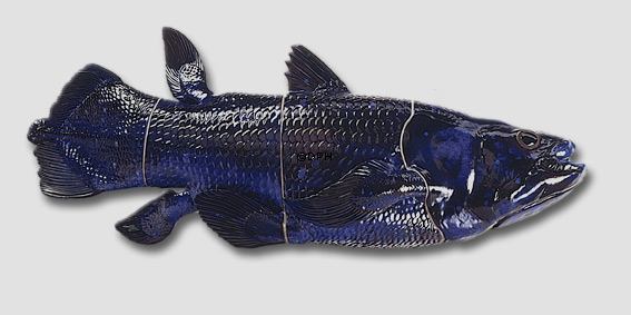 Blauer Fisch, gerade, Royal Copenhagen Figur Nr. 311