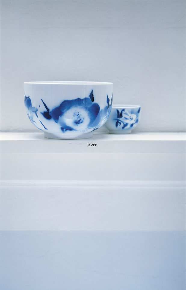 Hannemann Project, Schüssel, groß