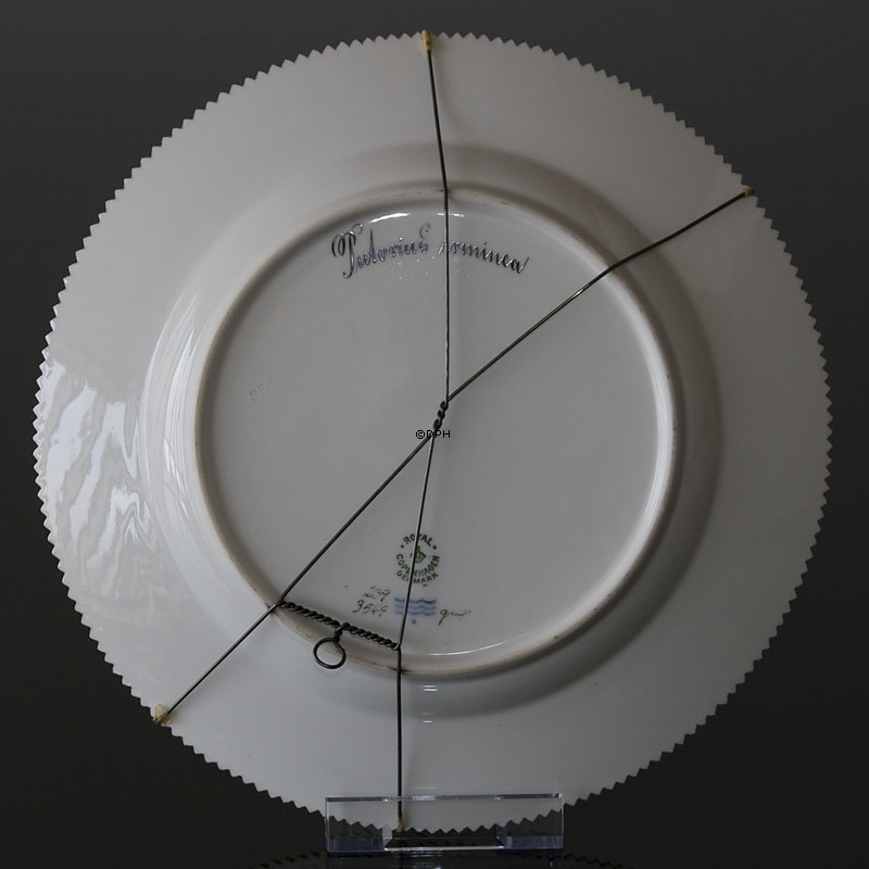 Fauna Danica Teller mit Hermelin, Royal Copenhagen