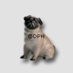 Mops, Royal Copenhagen Hund Figur | Nr. 1244041 | Alt. 1244041 | DPH Trading