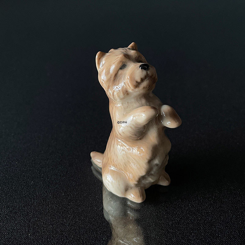 Cairn Terrier, Royal Copenhagen Hundefigur 7cm nr. 042