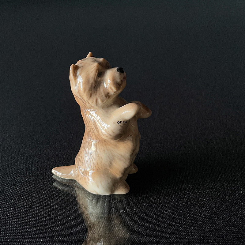 Cairn Terrier, Royal Copenhagen Hundefigur 7cm nr. 042