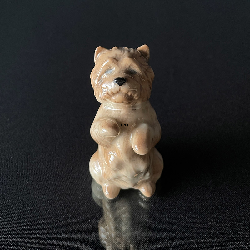 Cairn Terrier, Royal Copenhagen Hundefigur 7cm nr. 042