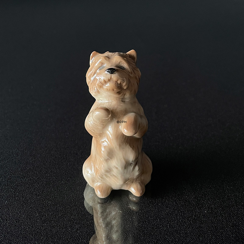 Cairn Terrier, Royal Copenhagen Hundefigur 7cm nr. 042