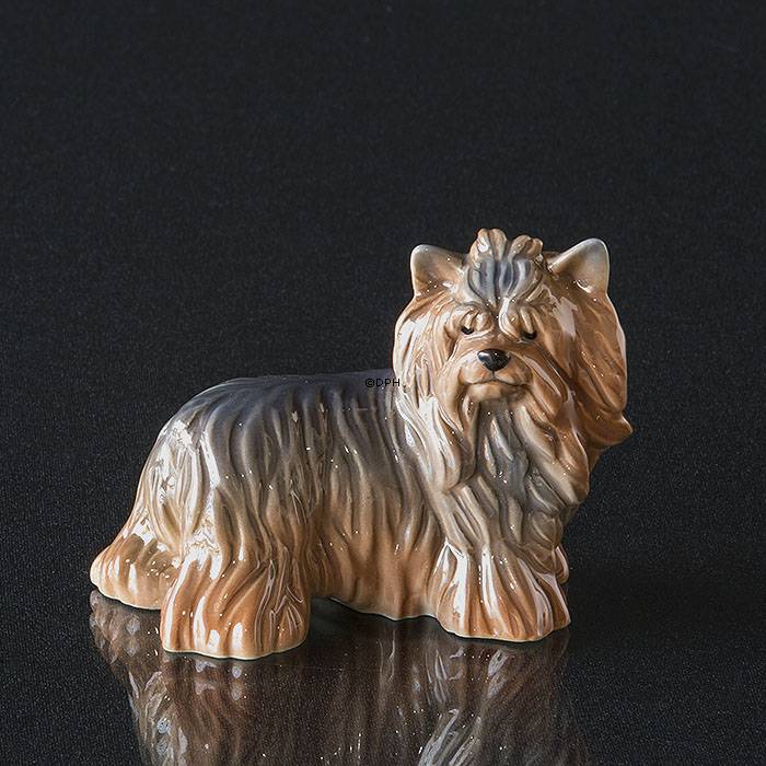 Yorkshire Terrier, Royal Copenhagen Hundefigur Nr. 043