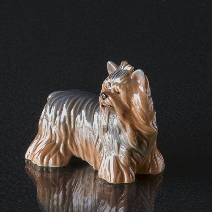 Yorkshire Terrier, Royal Copenhagen Hundefigur Nr. 043