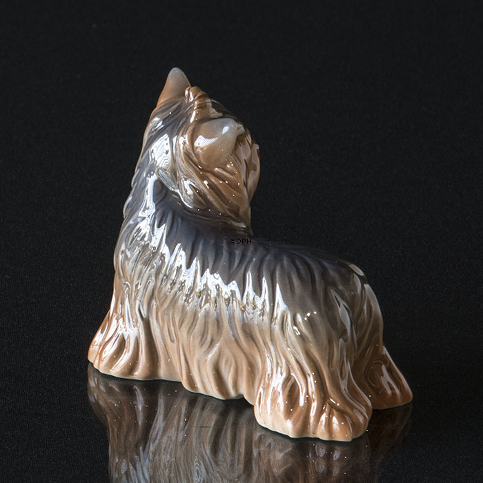 Yorkshire Terrier, Royal Copenhagen Hundefigur Nr. 043