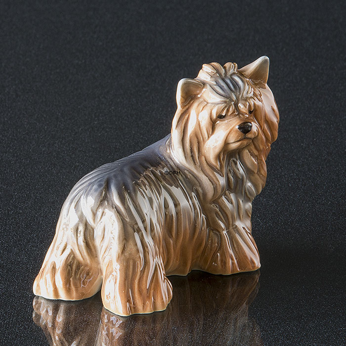 Yorkshire Terrier, Royal Copenhagen Hundefigur Nr. 043
