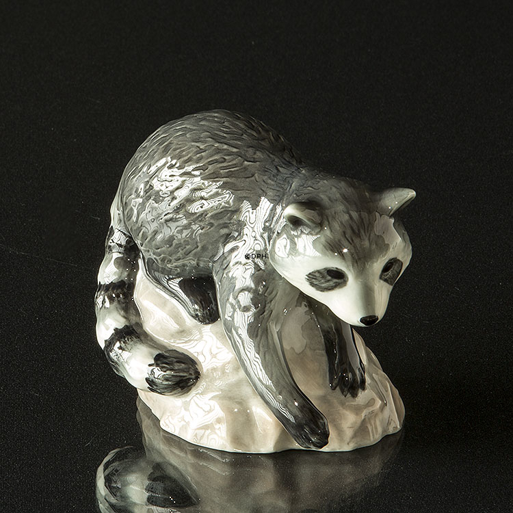 Waschbär auf Felsen schaut unten, Royal Copenhagen Figur Nr. 056
