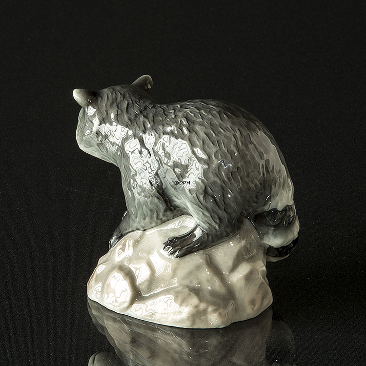 Waschbär auf Felsen schaut unten, Royal Copenhagen Figur Nr. 056