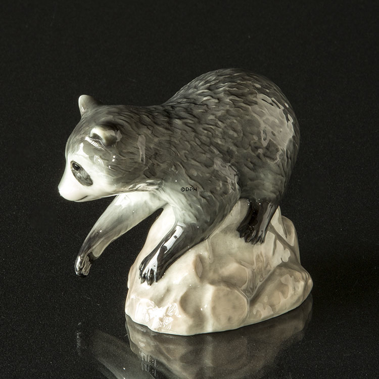 Waschbär auf Felsen schaut unten, Royal Copenhagen Figur Nr. 056
