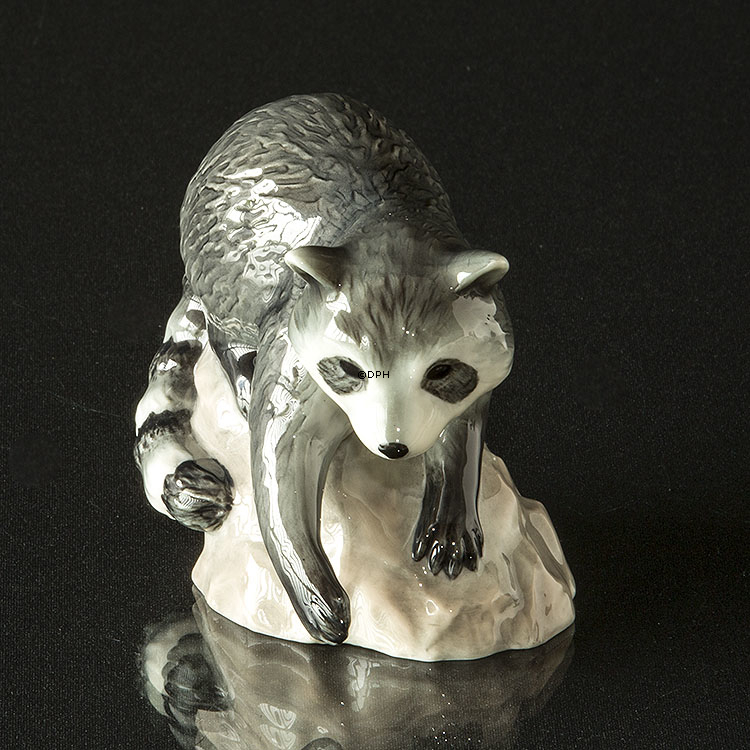 Waschbär auf Felsen schaut unten, Royal Copenhagen Figur Nr. 056