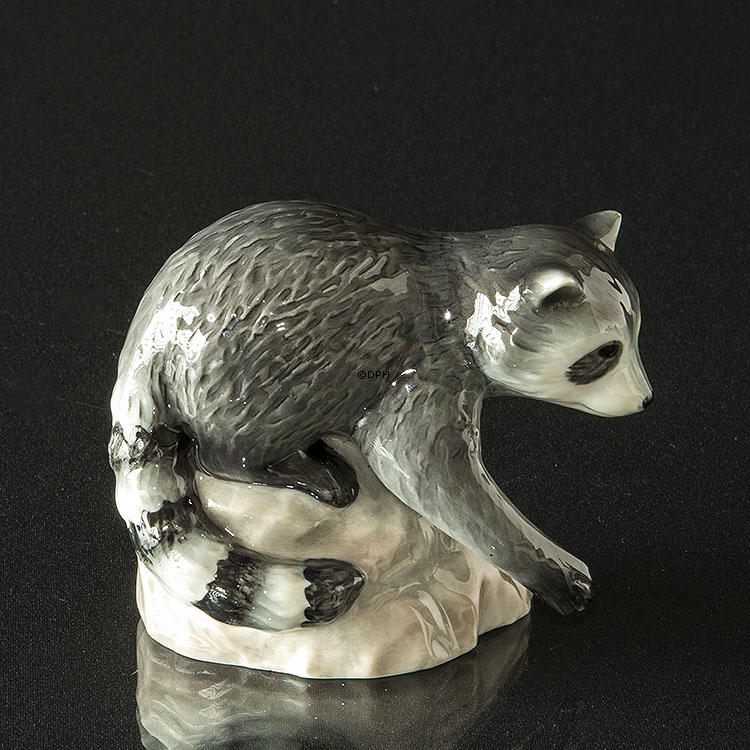 Waschbär auf Felsen schaut unten, Royal Copenhagen Figur Nr. 056