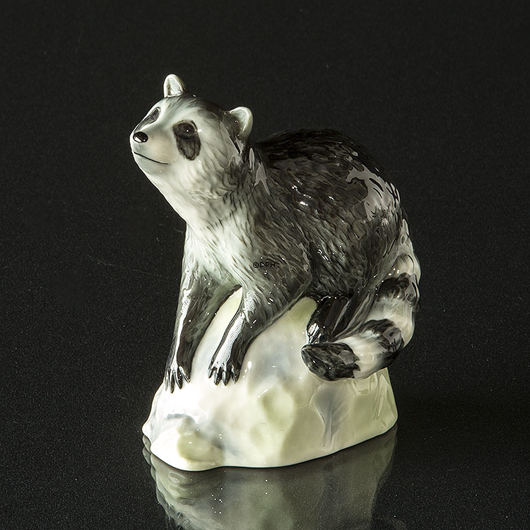 Waschbär auf Felsen schaut nach oben, Royal Copenhagen Figur Nr. 057