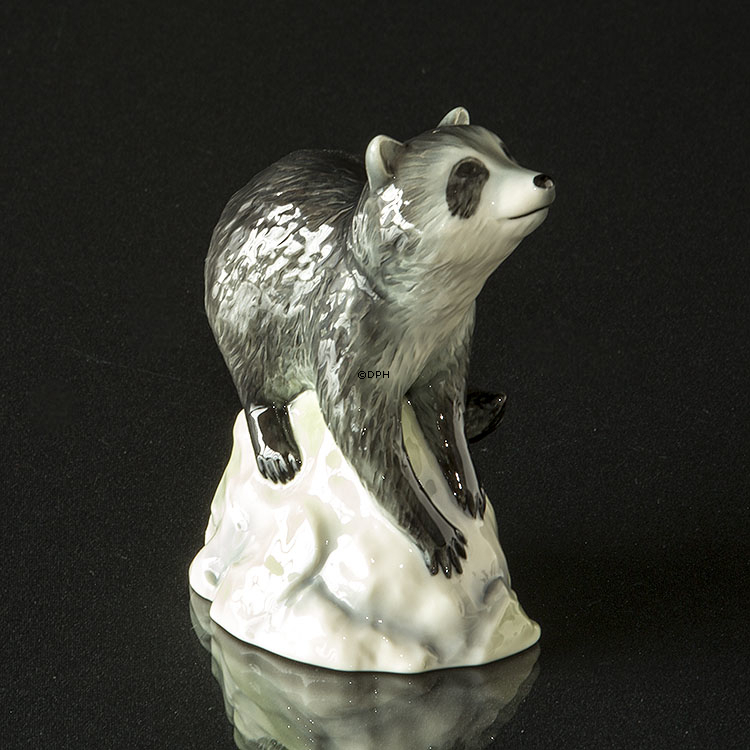 Waschbär auf Felsen schaut nach oben, Royal Copenhagen Figur Nr. 057