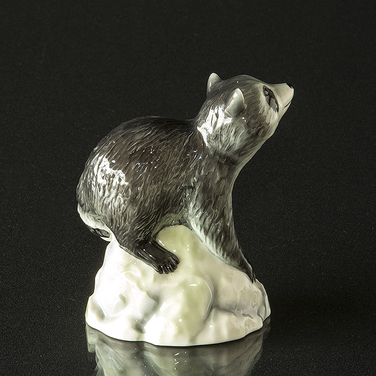 Waschbär auf Felsen schaut nach oben, Royal Copenhagen Figur Nr. 057