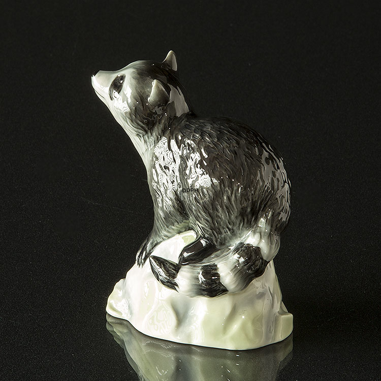 Waschbär auf Felsen schaut nach oben, Royal Copenhagen Figur Nr. 057