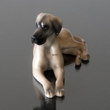 Deutsche Dogge, Royal Copenhagen Figur Nr. 511