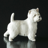 West Highland Terrier, Royal Copenhagen Hundefigur Nr. 512