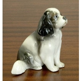 Cavalier King Charles, Royal Copenhagen Hundefigur Nr. 515