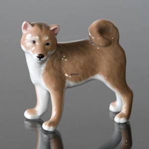 Hund, Shibi Inu, Royal Copenhagen Hund Figur | Nr. 1249665 | DPH Trading