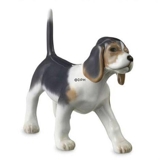 Beagle Welpe, Royal Copenhagen Hundefigur Nr. 682