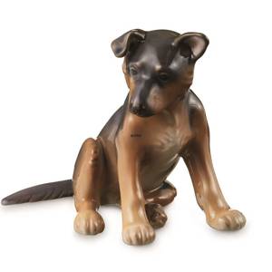 Deutscher Schäferhund Welpe, Royal Copenhagen Hundefigur | Nr. 1249683 | DPH Trading