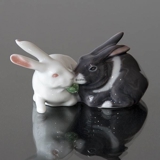 Paar Kaninchen, Royal Copenhagen Figur Nr. 806