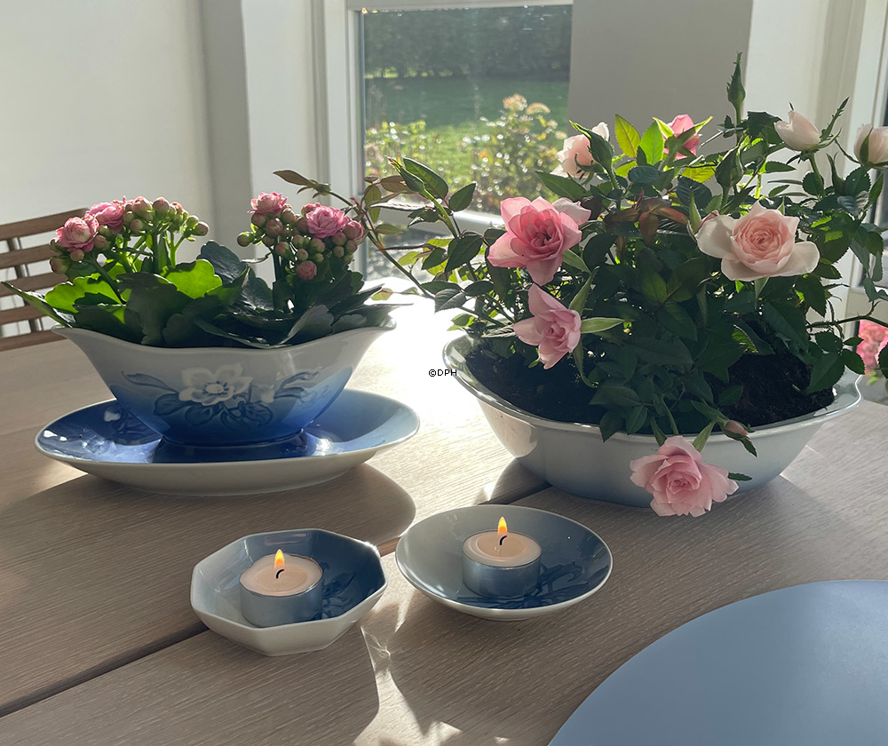 Kartoffelschüssel Christrose Geschirr Bing & Gröndahl Nr. 43, 313 oder 578