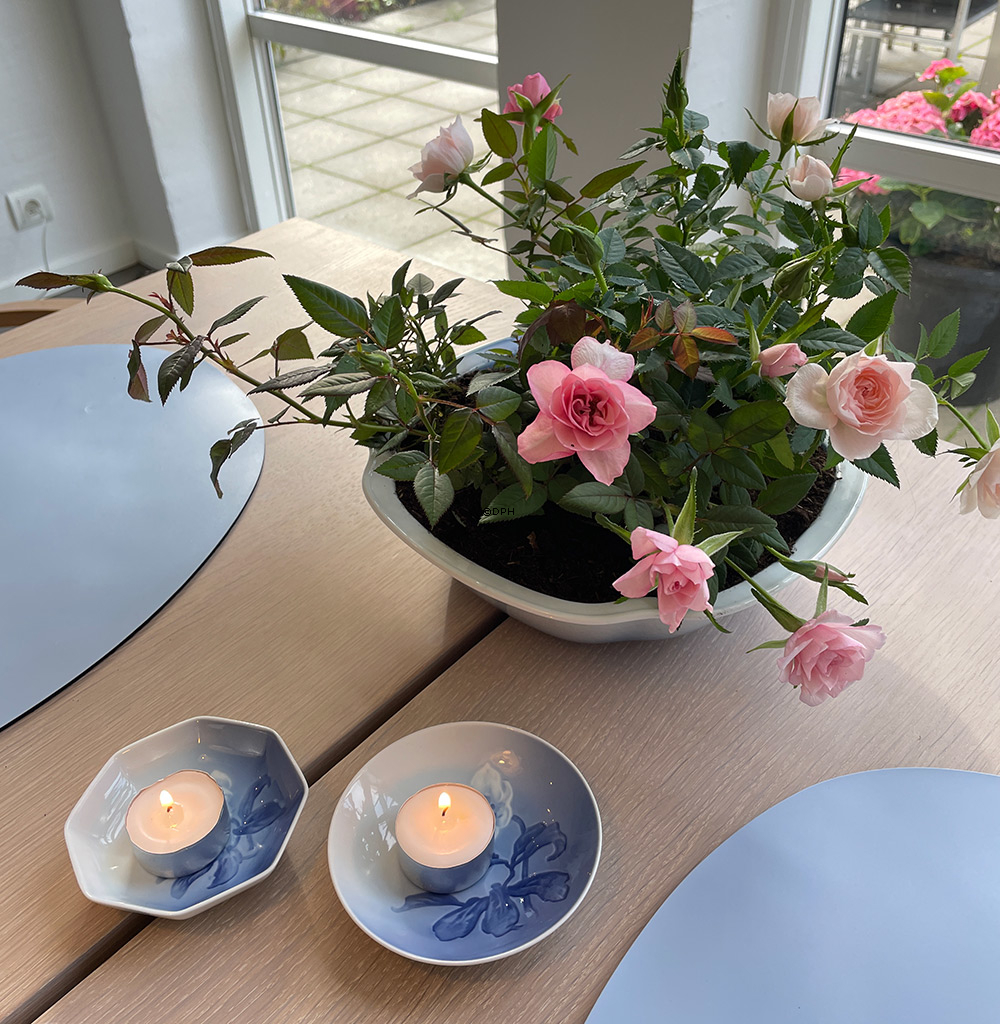 Kartoffelschüssel Christrose Geschirr Bing & Gröndahl Nr. 43, 313 oder 578