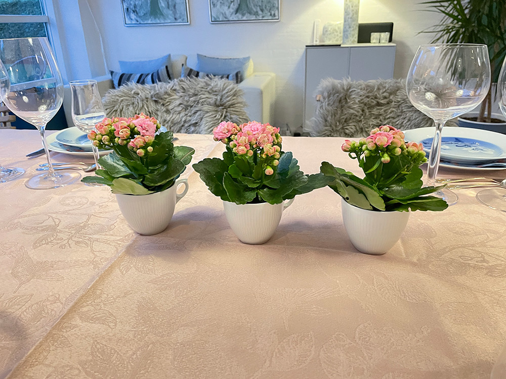 Weiß Gerippt, Kaffeetasse OHNE Untertasse, Inhalt 17 cl, Royal Copenhagen