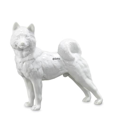 Sibirian Husky, Royal Copenhagen Hundefigur Nr. 038