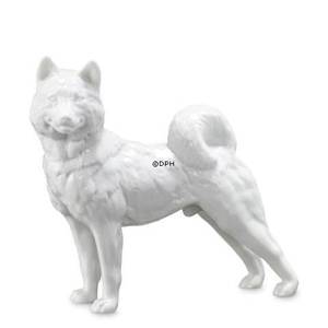 Sibirian Husky, Royal Copenhagen Hundefigur | Nr. 2670038 | DPH Trading