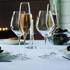 Holmegaard Cabernet Champagnerglas, Inhalt 29 cl., 6 Stück | Nr. 4303391 | DPH Trading