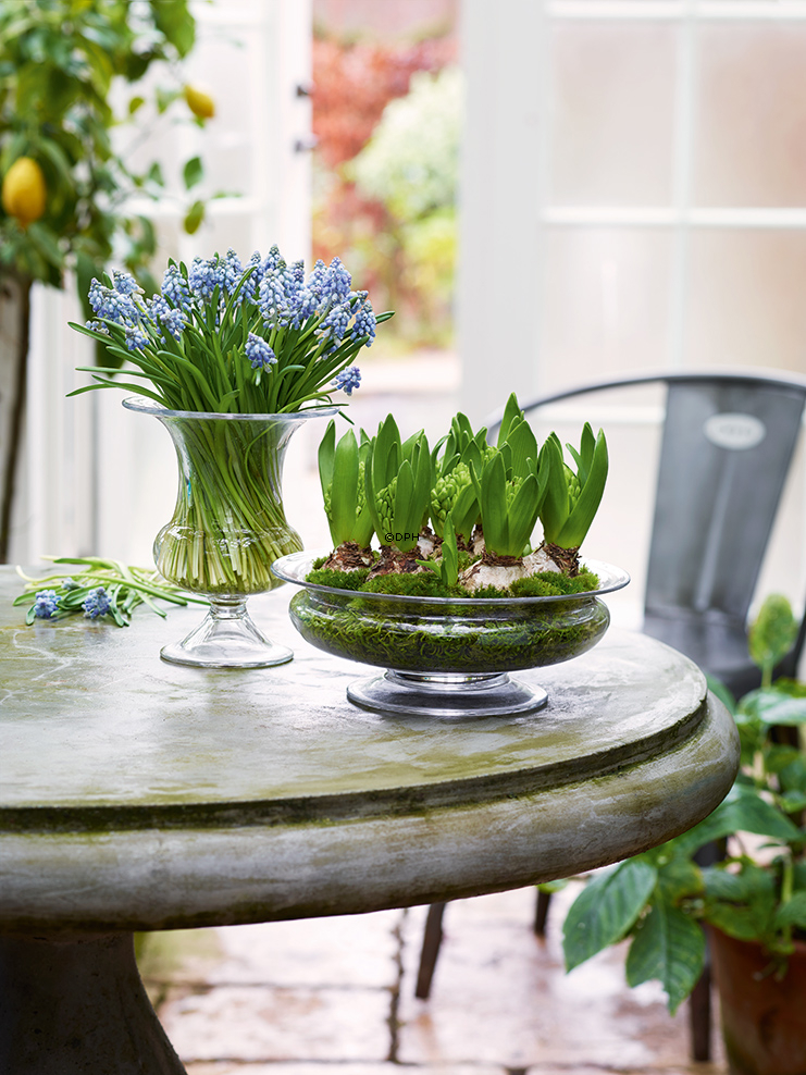 Holmegaard Old English Blumenschale, groß