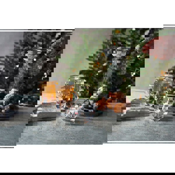 Hot Drink Gläser 2021, 2 Stück, Holmegaard Christmas