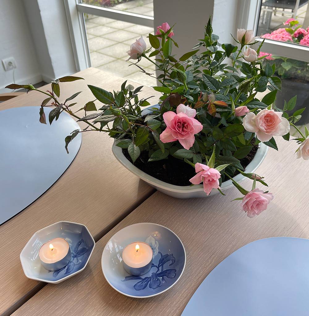 Kleine Schüssel Christrose Geschirr 9cm Nr. 246, Bing & Gröndahl