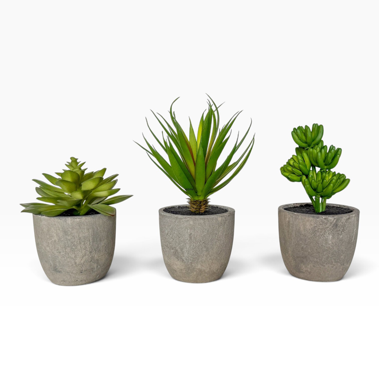 Größere grüne Pflanze mit Topf, Ø: 9 cm (sortiert erhältlich)