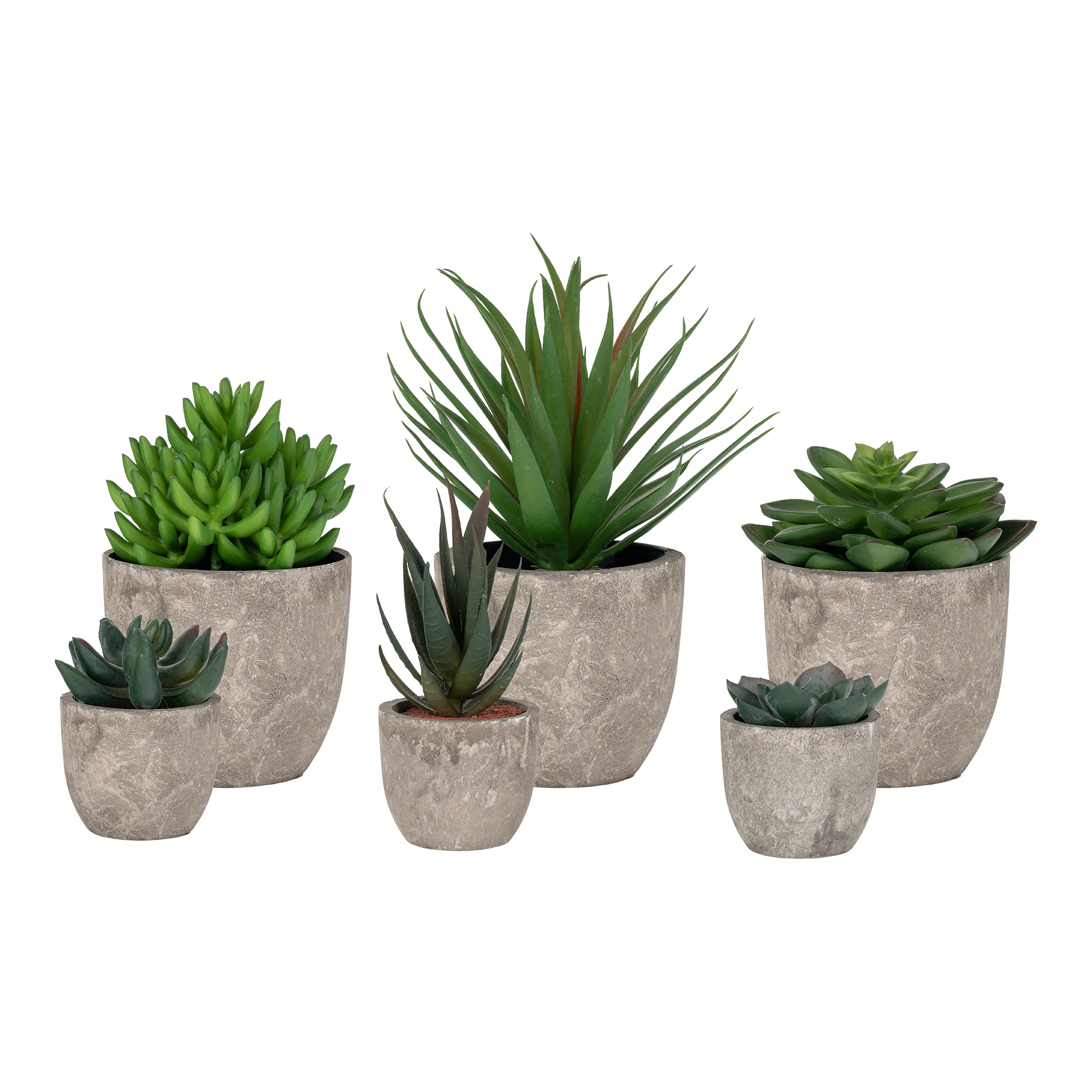 Größere grüne Pflanze mit Topf, Ø: 9 cm (sortiert erhältlich)