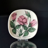 Arabia World Wildlife Fund Plakette mit Rosa Lapponia